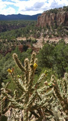 Rock Climb – Shelf Road