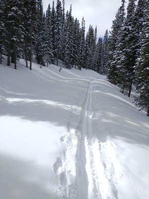 Bakerville - Loveland Trail