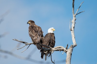 Barr Lake State Park