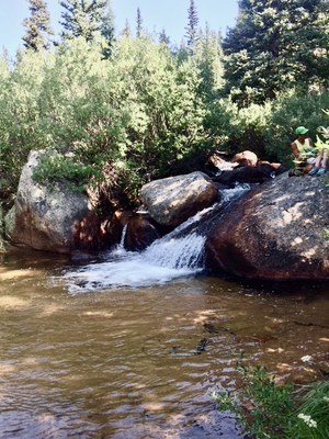 Beaver Meadows Loop