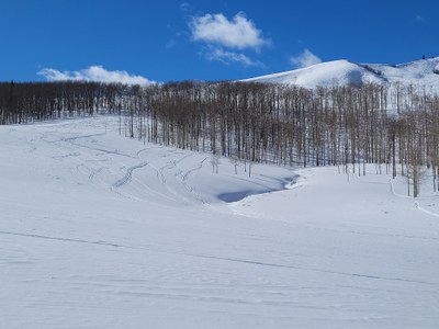 Bluebird Backcountry Ski Area at Bear Mountain