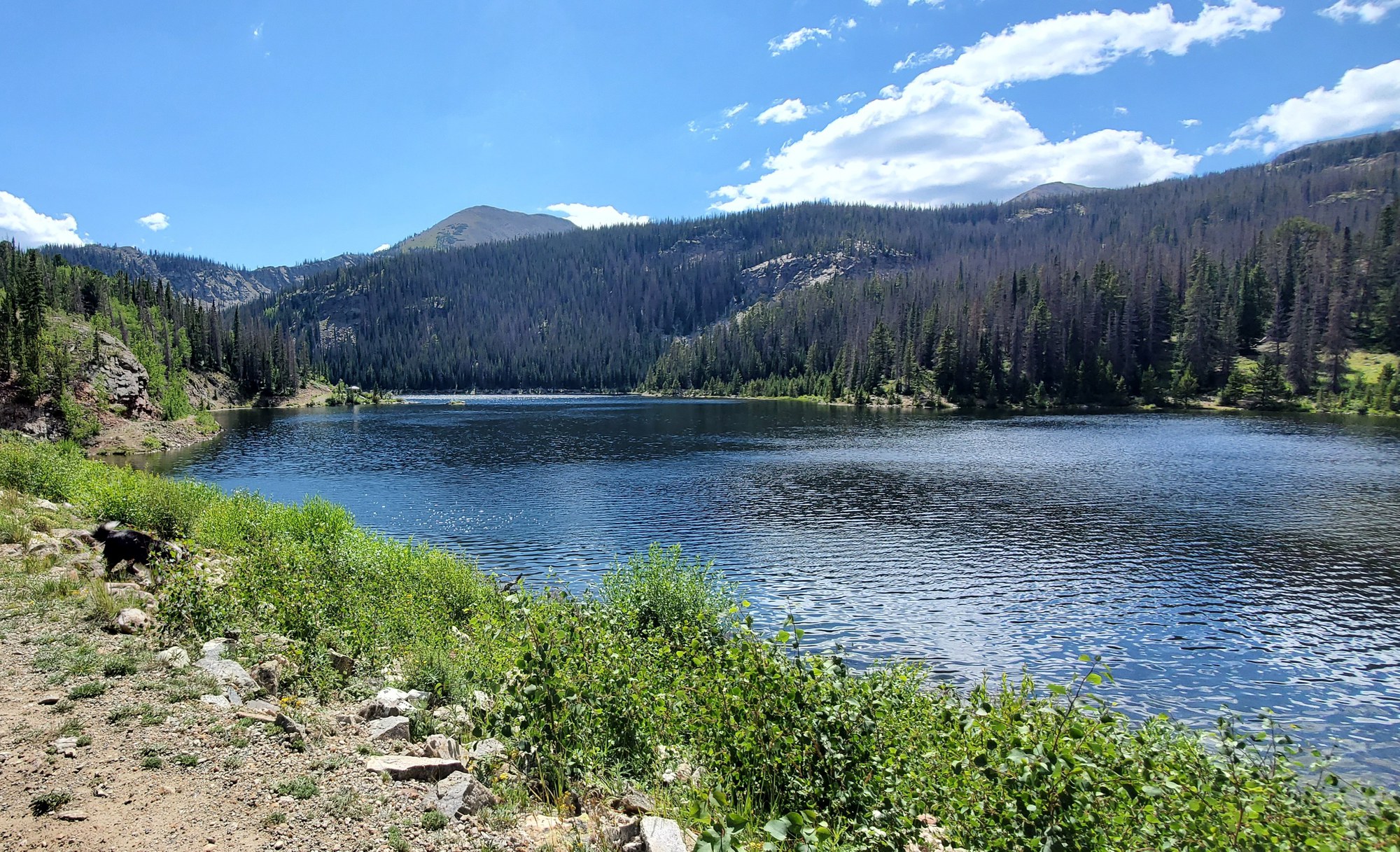 Boss and Hunt Lakes Trail — The Colorado Mountain Club