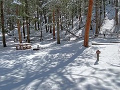 BPX 2-Day: Aspenglen Campground (RMNP)