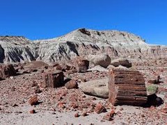 BPX 5-Day: Escalante Petrified Forest State Park Campground