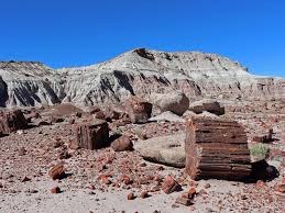 BPX 5-Day: Escalante Petrified Forest State Park Campground