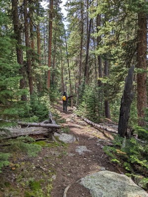 Cub Creek Trail