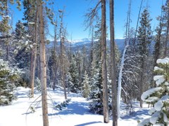 Deadhorse Creek Loop Trail