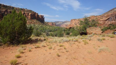 Dominguez Canyon Trail