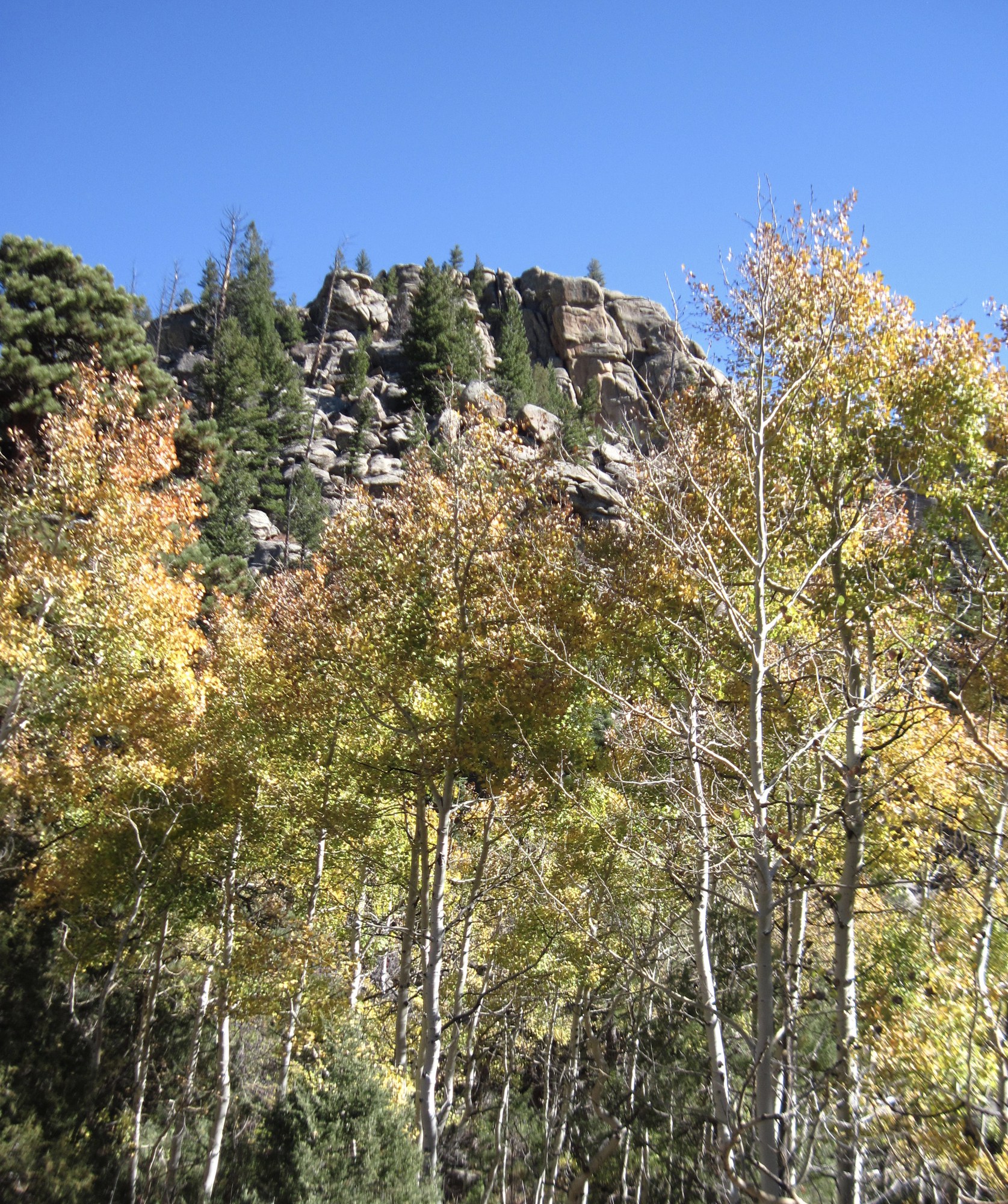 Elkhorn Creek Trail — The Colorado Mountain Club