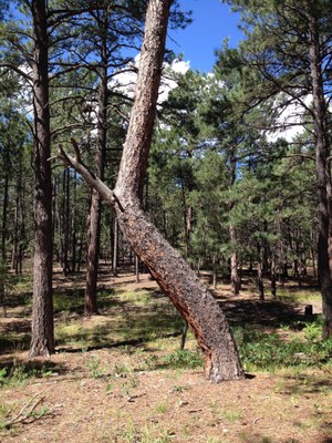 Fox Run Regional Park