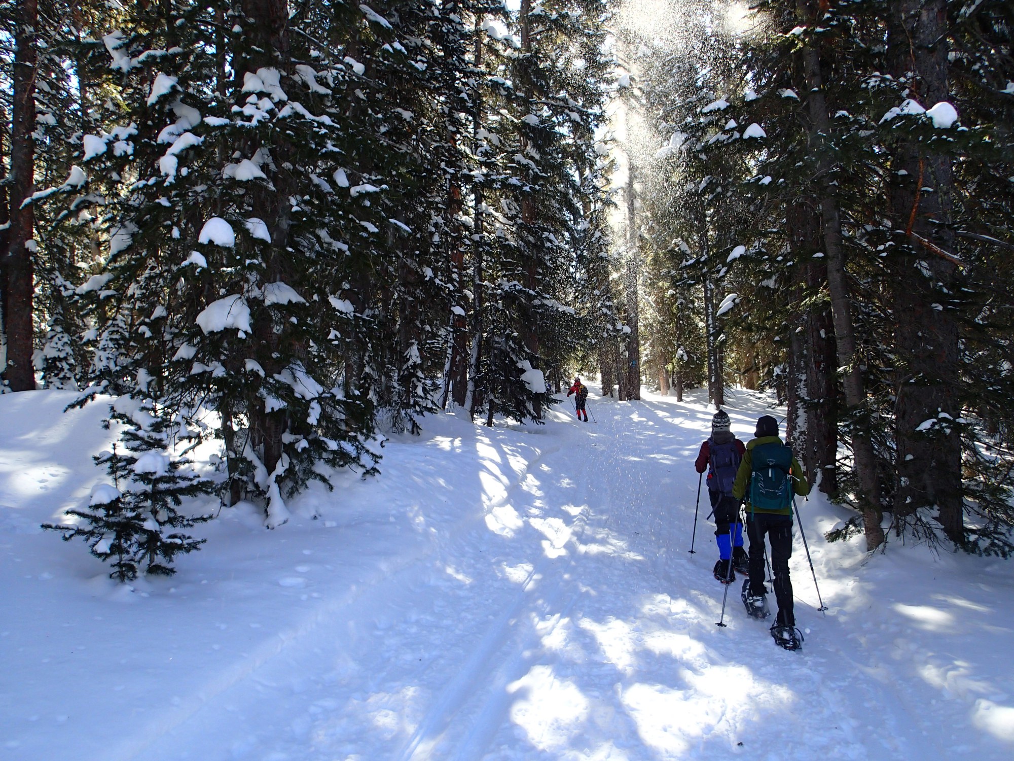 Grand Mesa — The Colorado Mountain Club