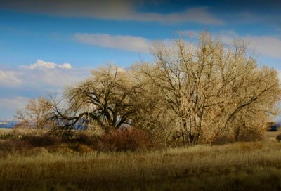 Hildebrand Ranch Park