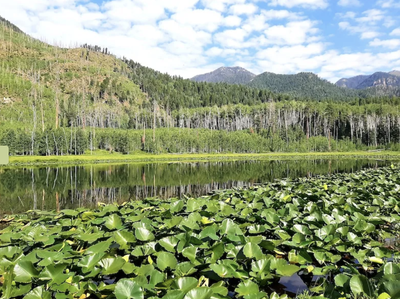 Lake Eileen Trail