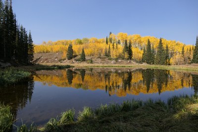 Lake Ridge Lakes