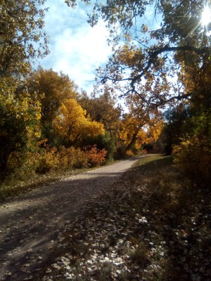 Lee Gulch Trail