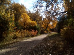 Lee Gulch Trail