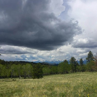 Lion Canyon Trail