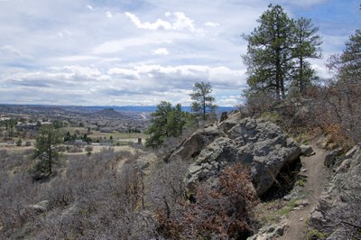 Metzler Family Open Space