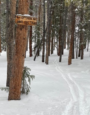 Mitchell Creek Loop