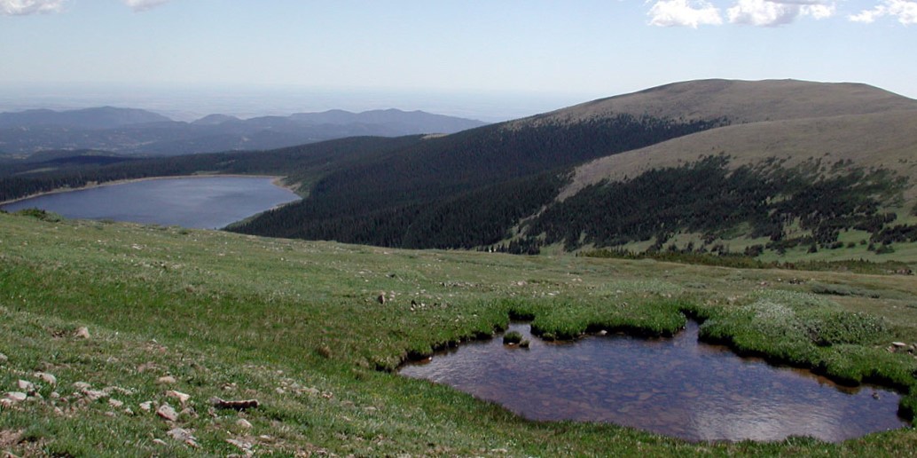 Niwot Mountain The Colorado Mountain Club   Image