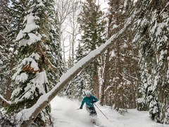 Powderhorn Mountain Ski Resort