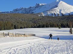 Priest & Trout Lake