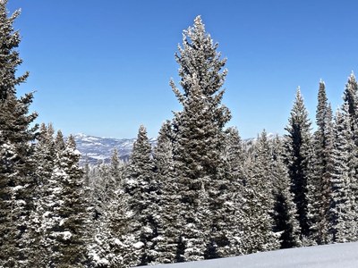 Rabbit Ears Pass