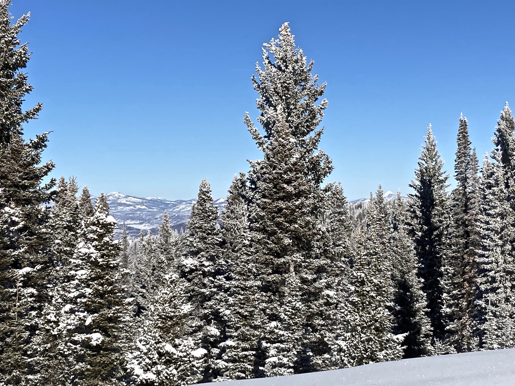 Rabbit Ears Pass The Colorado Mountain Club   Image