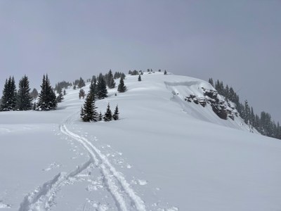 Vail Pass to Vail Traverse