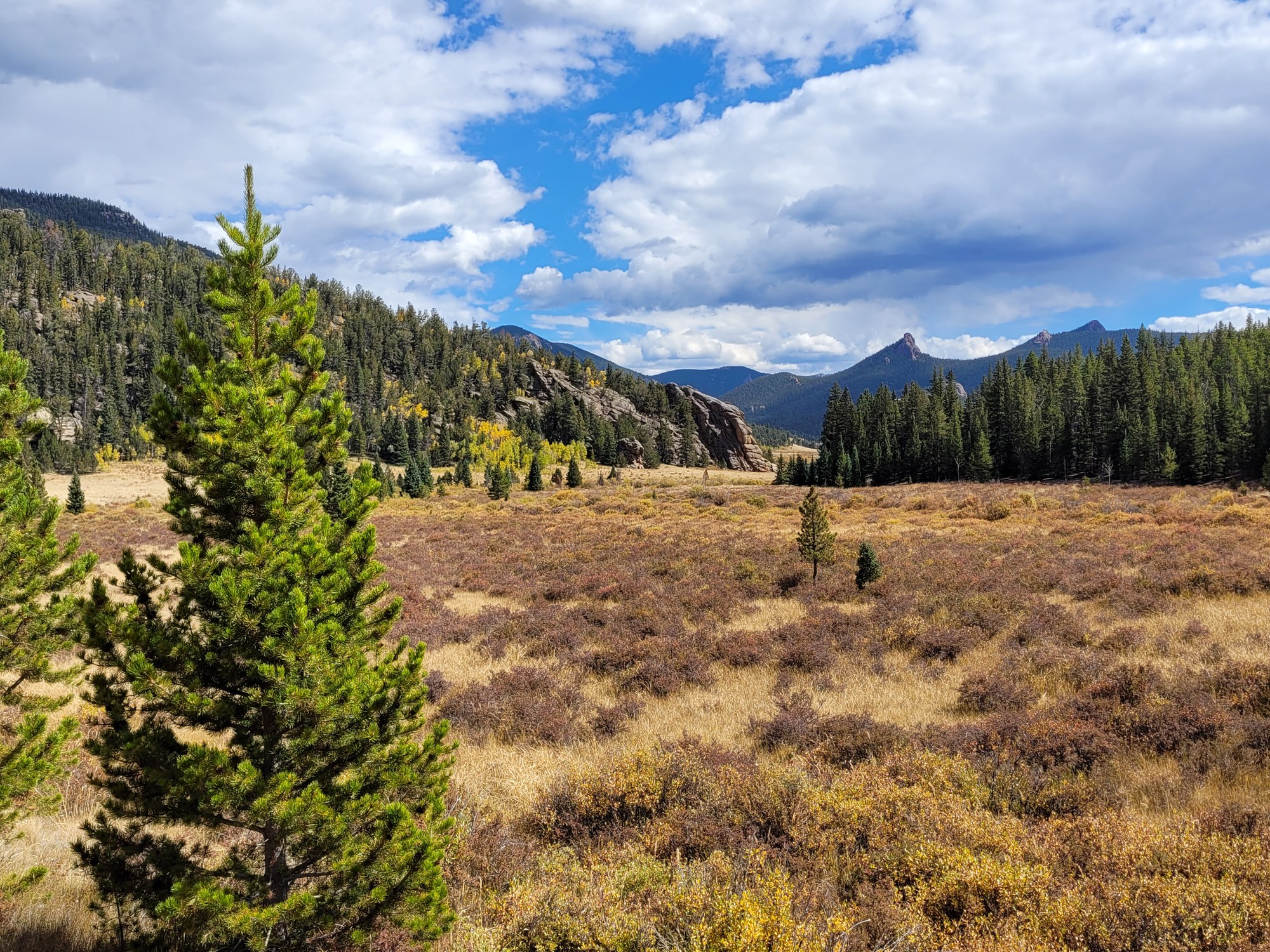 Wigwam trail hotsell lost creek wilderness