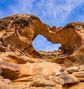 Wombat Arch