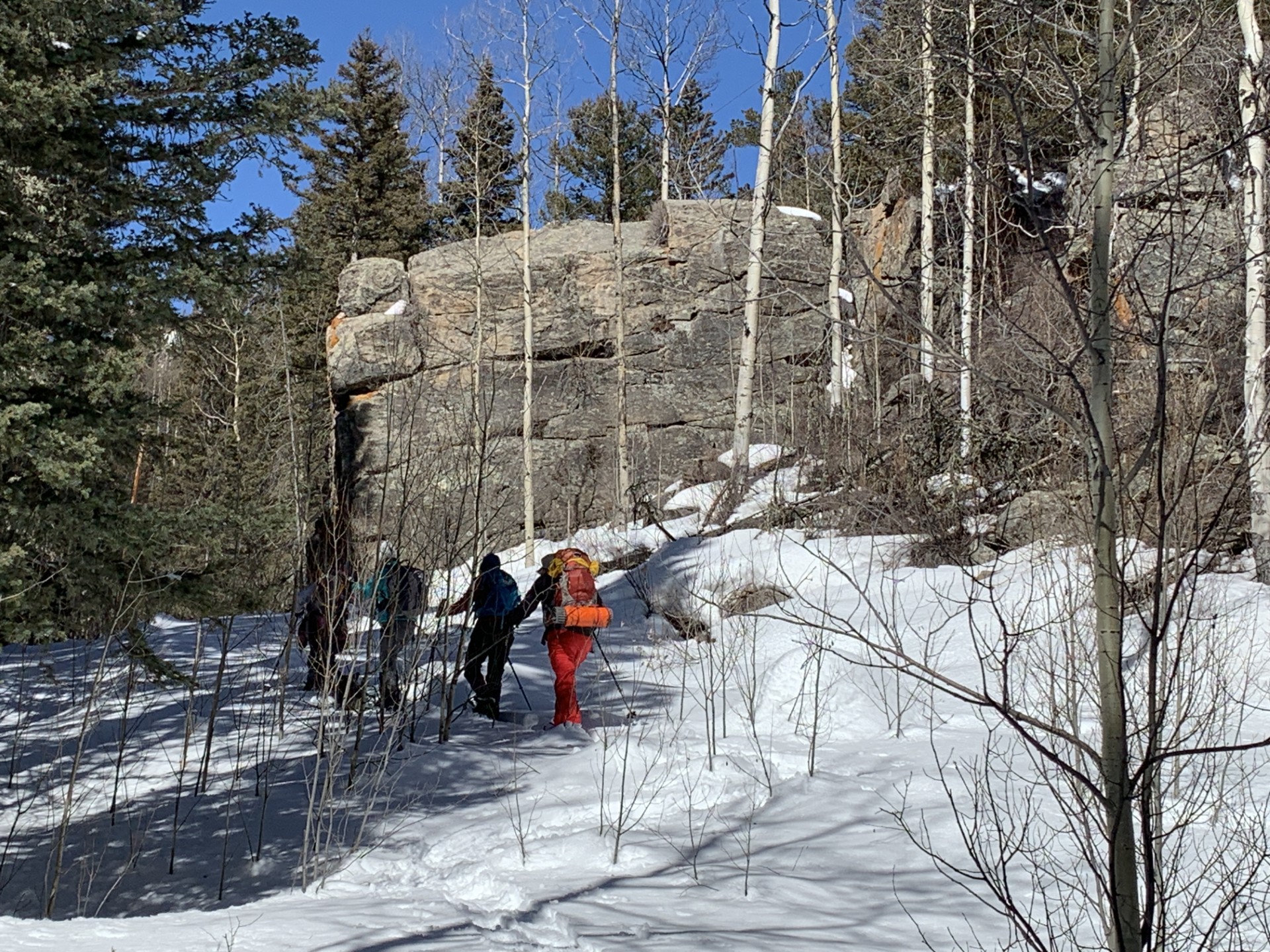 Intermediate Snowshoe – Ophir Creek Campground — The Colorado Mountain Club