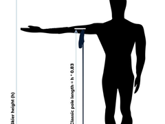 pole length.png