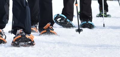 Beginner Snowshoe School - One Day Session