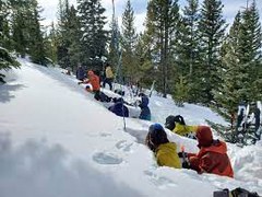 PPG AIARE Avalanche Level 1  Course - 2025