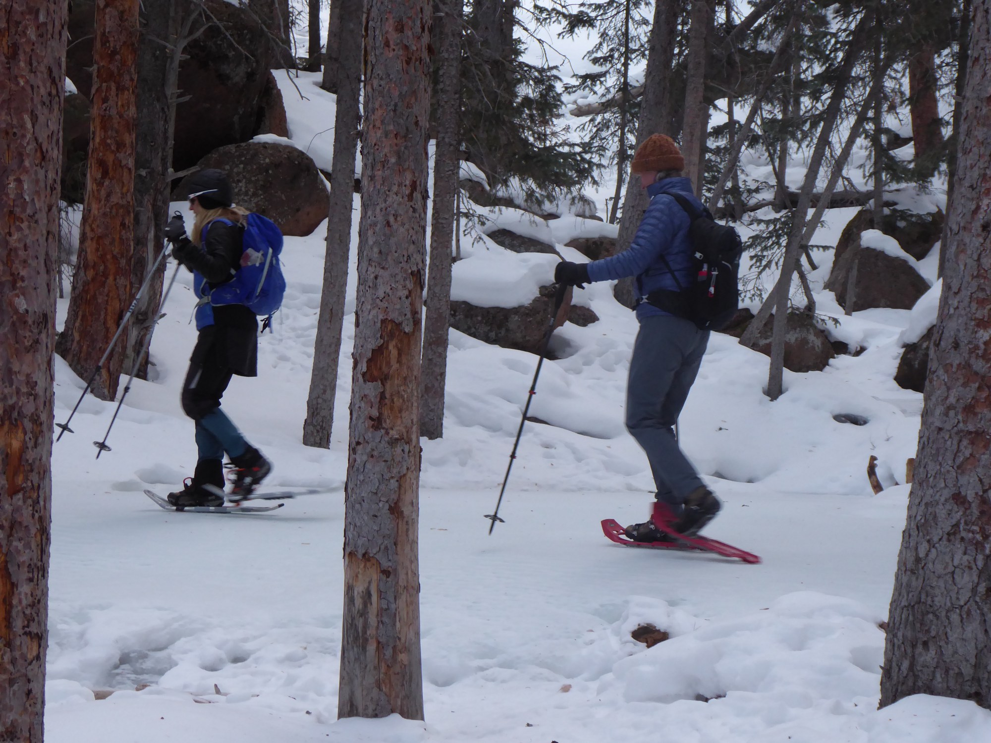 Intro to Snowshoeing - Pikes Peak - 2024 — The Colorado Mountain Club